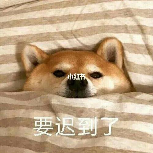 表情包‖伸个懒腰_表情包_素材_表情包