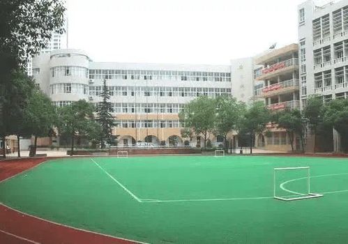 火速收藏武汉公立小学10强榜单