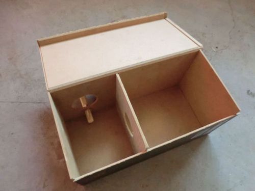 虎皮鹦鹉不进窝怎么办