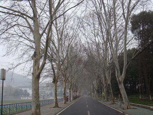 中国地质大学(武汉)