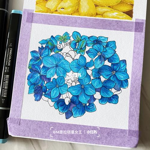 蓝色绣球花|法卡勒三代马克笔_马克笔_绣球花_绘画_动漫_酒精_绘画