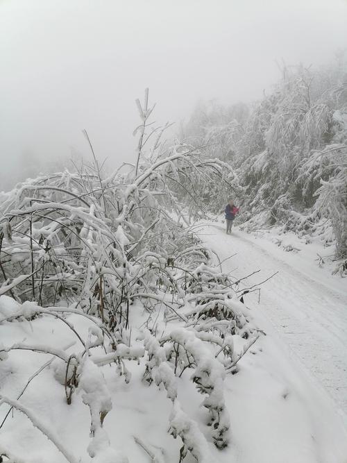 12月16日白云山看雪景