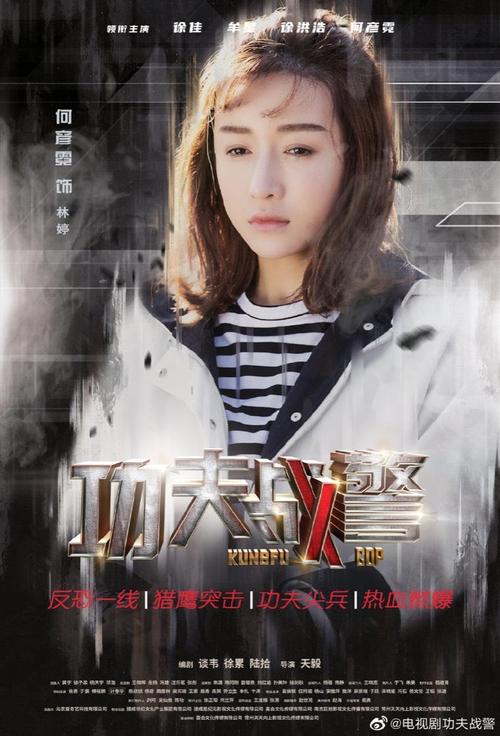 功夫战警分集剧情介绍142集大结局