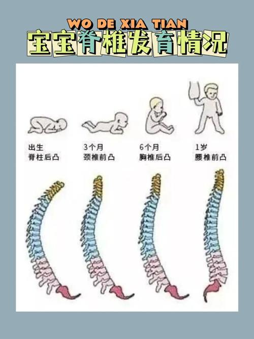 宝宝脊椎变形?凶手竟然是它!