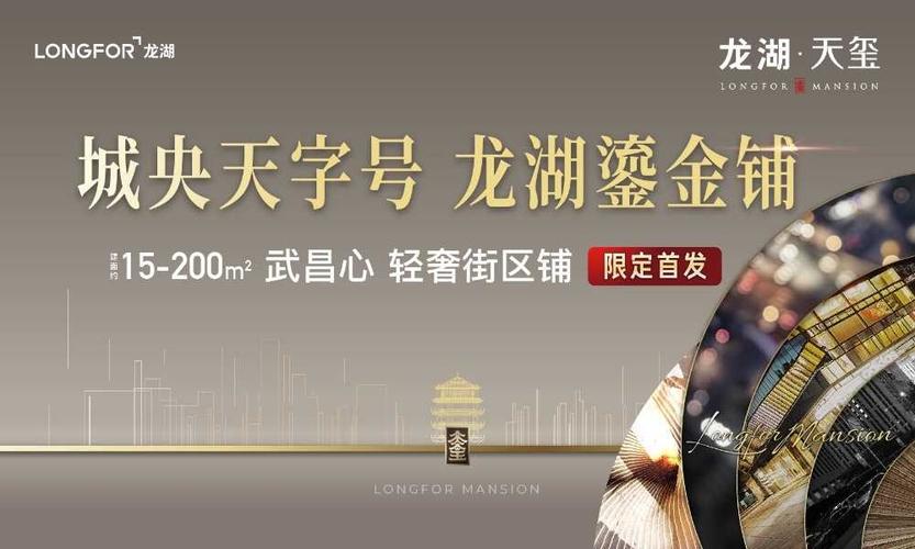 已认证武汉武昌龙湖天玺临街商铺公摊面积是多少