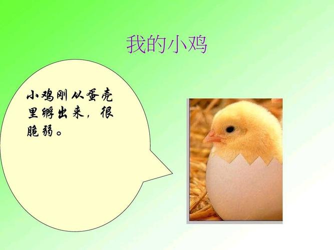 一,课程目标  ◆知识与目标 结合自己的记录,展示小动物成长的过程