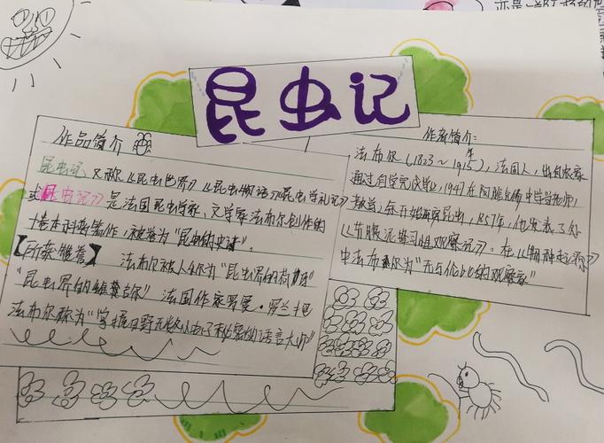 昆虫记的手抄报四年级简单