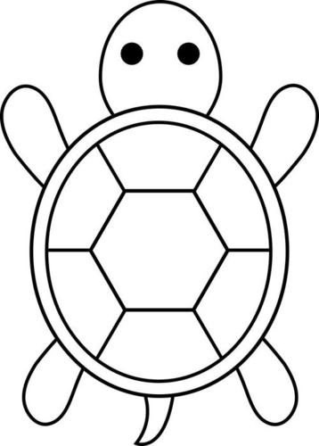 turtle简笔画