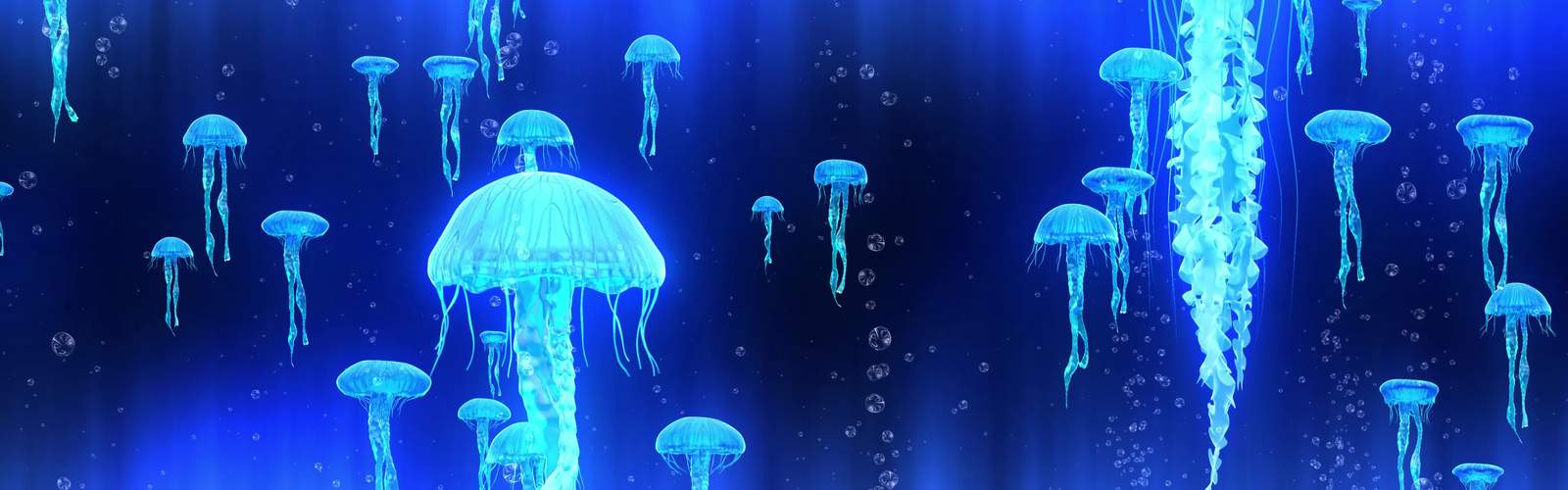 4k海底世界水母全息投影