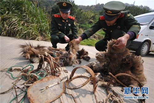 台州边防打击非法盗猎保护野生动物