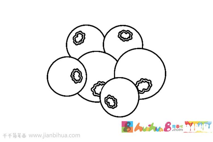 蓝莓简笔画教程