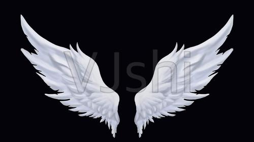 翅膀飞翔素材_3840x2160_高清视频素材下载(编号:)
