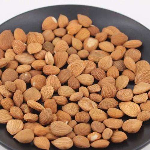 中药材杏仁苦杏仁 新货药用北杏仁 生杏仁杏核仁杏子