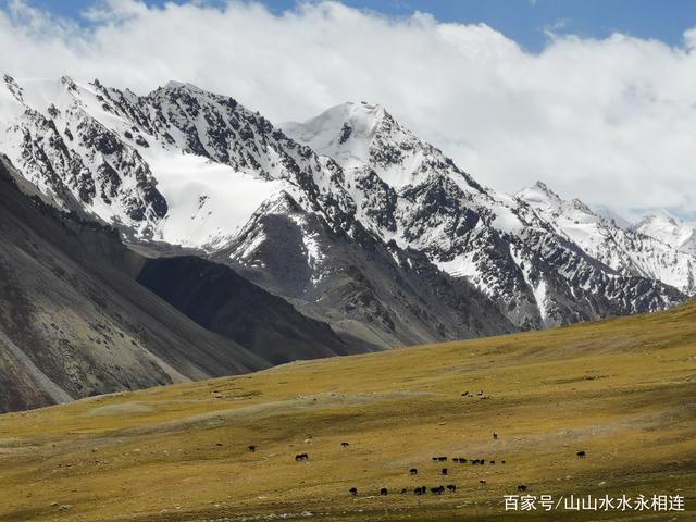 雪山,草地.