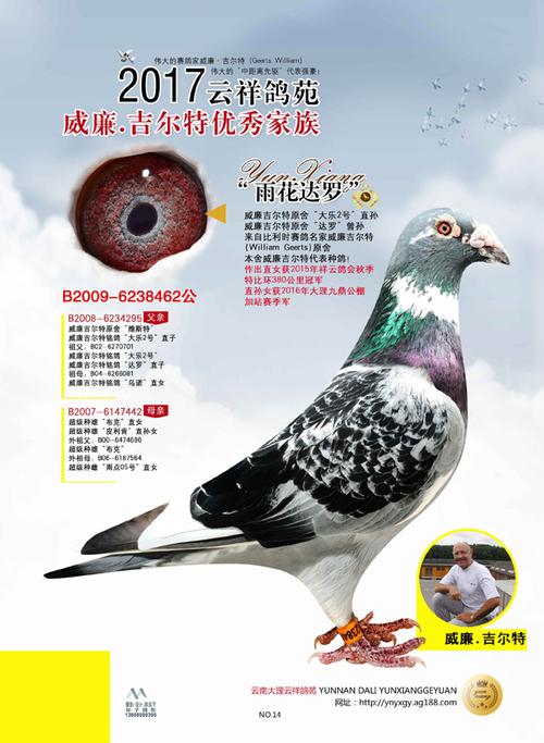 威廉吉尔特"雨花达罗"