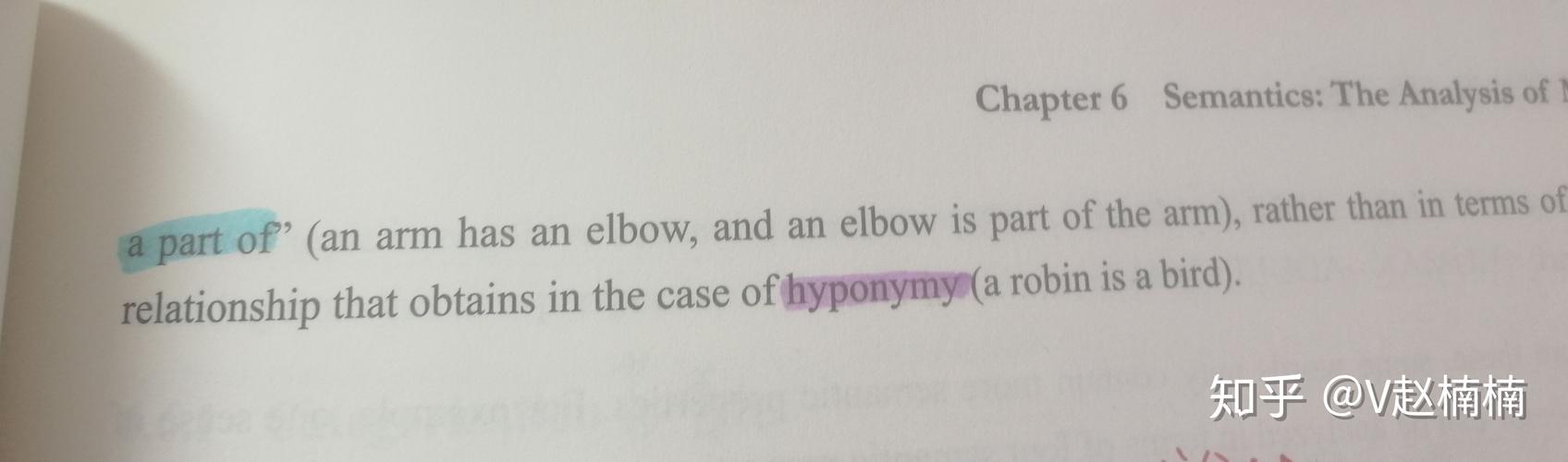 automeronymy是个啥