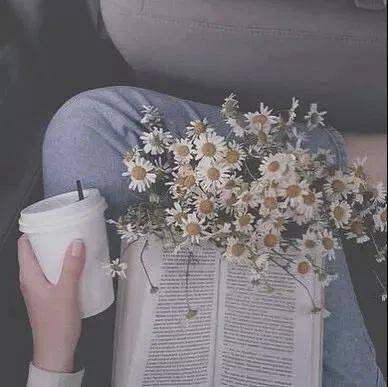 微信朋友圈背景封面图