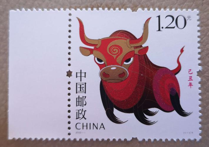 牛年说牛____镜头前的美牛