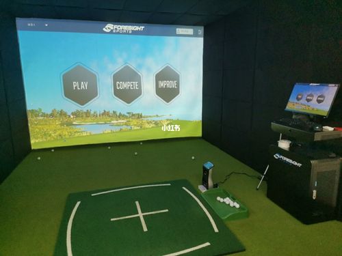 室内高高尔夫_高尔夫_高尔夫怎么样_爱生活爱高尔夫球_游戏_主机游戏