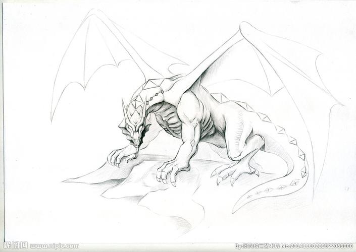 素描 神龙图片