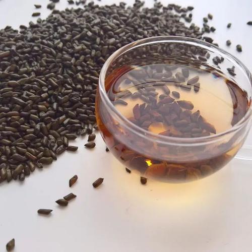 决明子茶的功效与作用,决明子茶可以天天喝吗