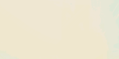 500_250