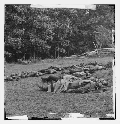 双方总共损失51000名兵员,包含阵亡,受伤,失踪,被俘者.