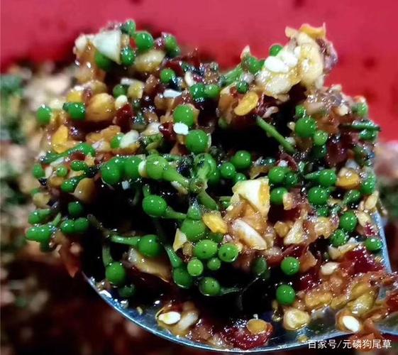 特别的农家香,野生木姜子的四种简单吃法