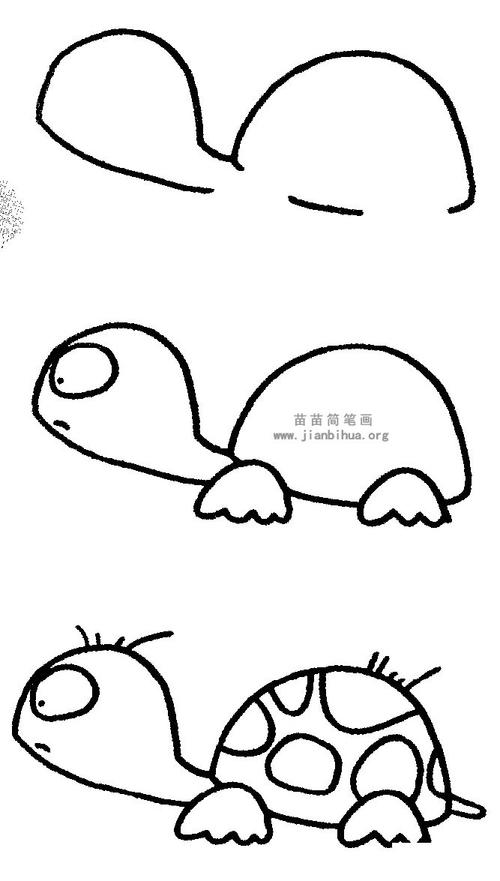 乌龟简笔画儿歌与知识