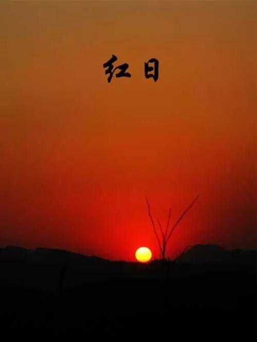 红日---周二晚间快乐998我们一起感受力量