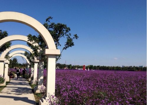 2016紫谷伊甸园介绍_门票_地址