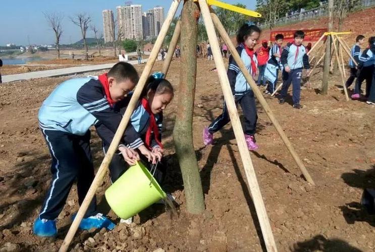 校园动态南宁市各小学纷纷开展系列植树节主题活动