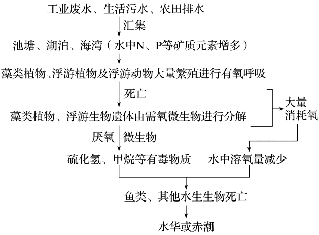 水体富营养化分析