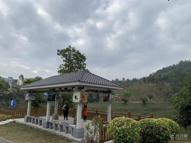 2019-01-19巡行:大运中心-神仙岭-东莞凤岗雁田