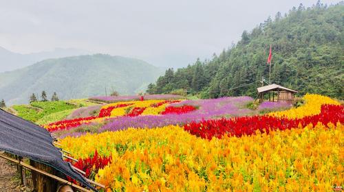 滑翔伞,高山梯田花海,热气球……带你领略大视野天空美境!