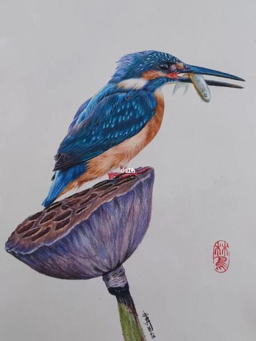 翠鸟又一幅_绘画_临摹_画画_文化_绘画