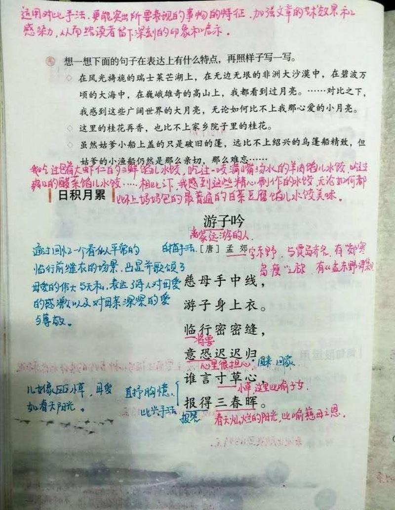 五年级语文园地一笔记.你们要背游子吟吗?[观望][观望]