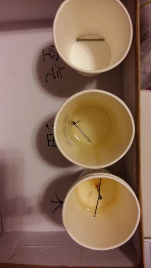 铁钉在空气,水,油中的变化实验 六5班 陈漪瑾