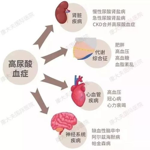 虽然不能仅凭尿酸高就给小林贴上痛风的标签 严重的高尿酸血症会诱发