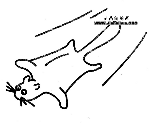 鼯鼠简笔画图片教程