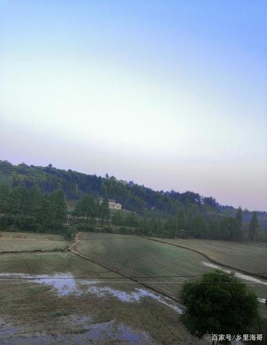 乡村的早晨