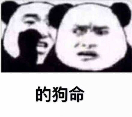 的狗命_狗命表情