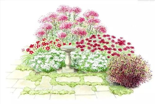 工业设计 花境植物手绘