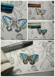 秘密花园vs奇幻梦境