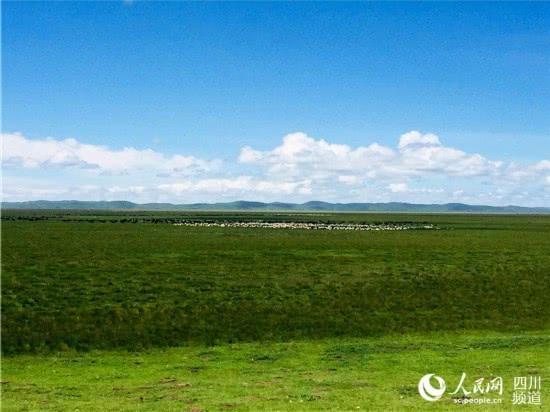 春季若尔盖大草原.(图片由若尔盖县委宣传部提供)