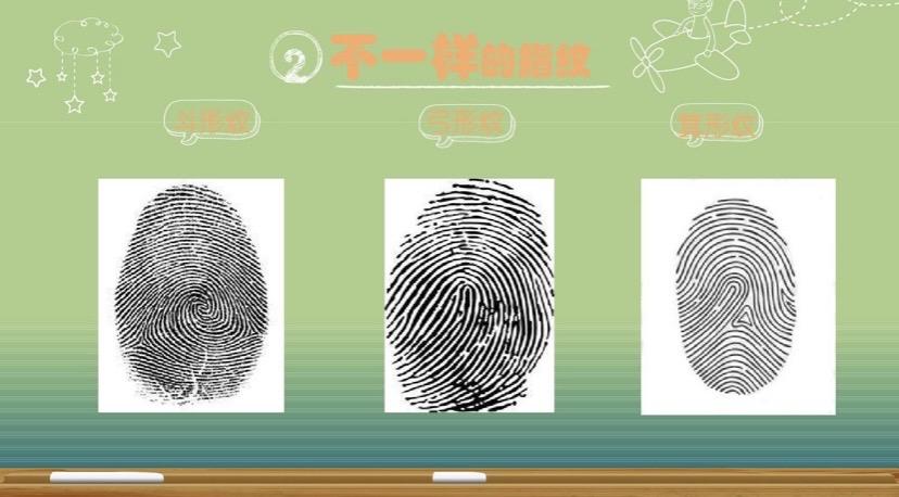 其它 中一班科学活动"指纹的秘密" 写美篇斗形纹,弓形纹,箕形纹 斗形