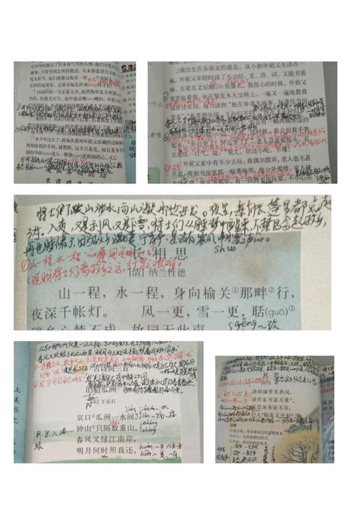 组里语文老师的课本备课记录,多么丰富,多么详细呀!