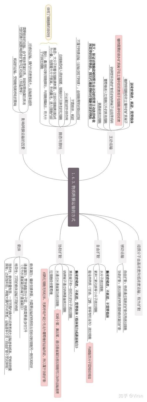 高中信息技术必修一第一章思维导图_高考生物回归教材