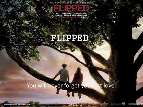 怦然心动英文介绍ppt flipped you will never forget your fist love