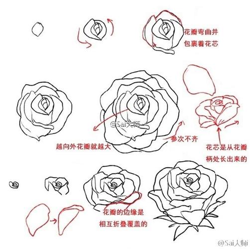 绘画学习# 多种花花的绘制练习,玫瑰,牡丹及一些常见花卉,转给需要的